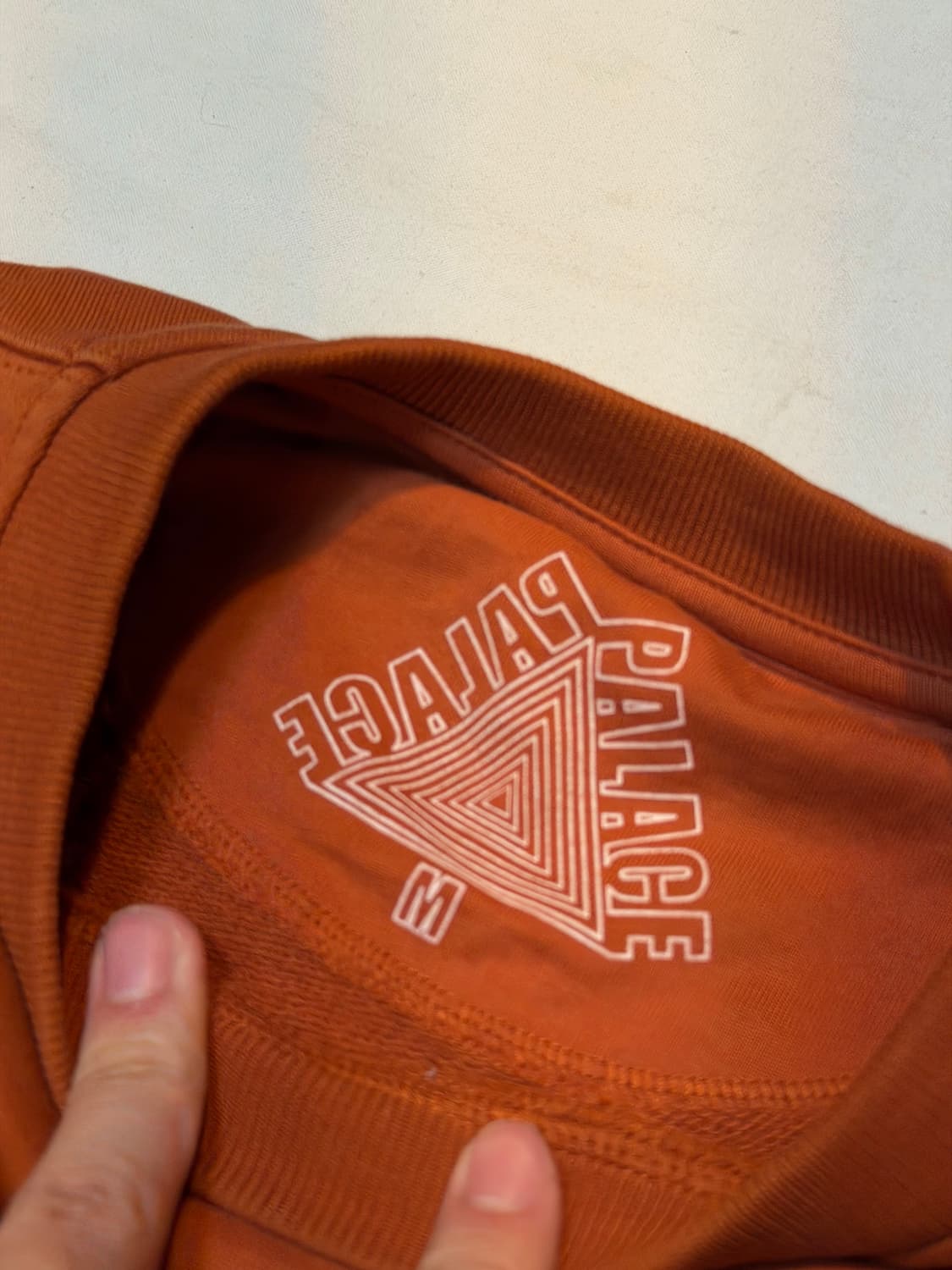 팔라스 22FW 소파 크루넥 맨투맨 오렌지 상품이미지3