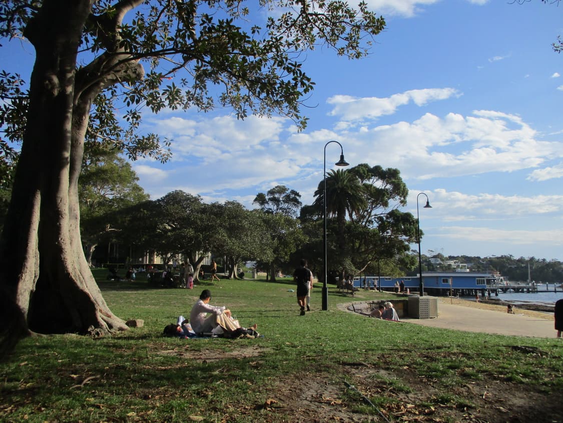 캐논 익서스 185 디카 상품이미지9