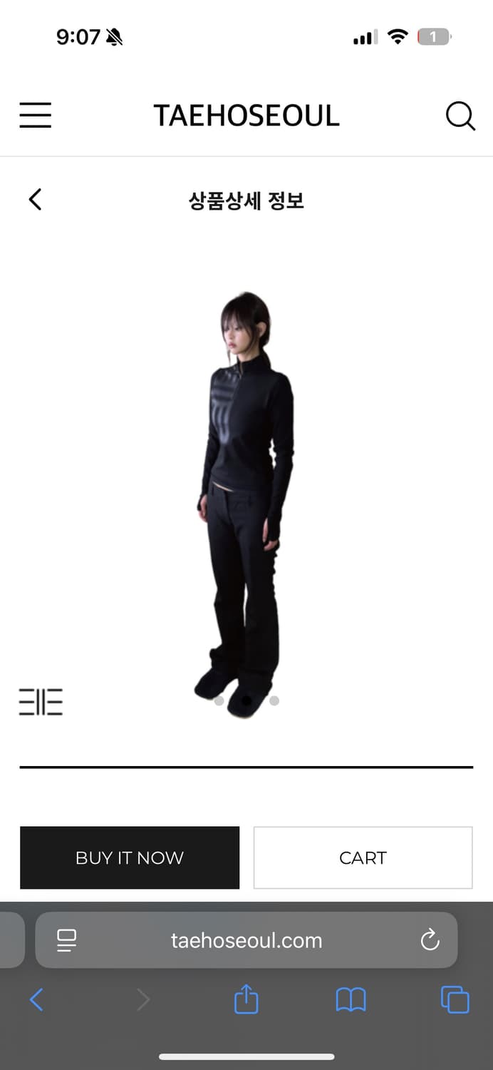 TAEOSEOUL 태호 서울 TS BLUR Long Sleeve S사이즈 상품이미지2