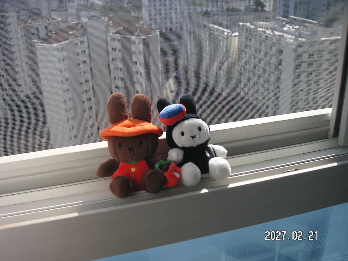 미놀타 디미지 XG (작례O) 상품이미지5