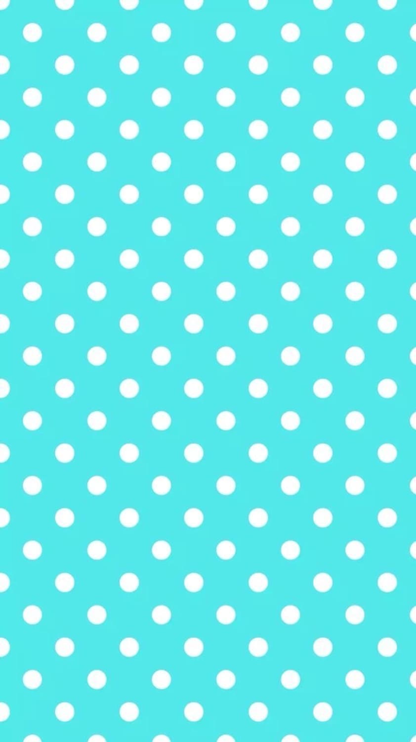 ㄱㅇㅈ님 결제창 상품이미지1