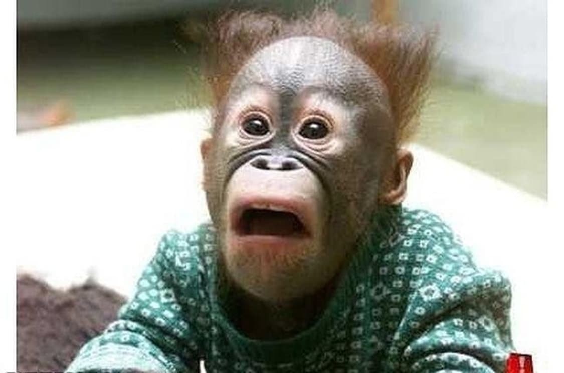 판완 상품이미지1