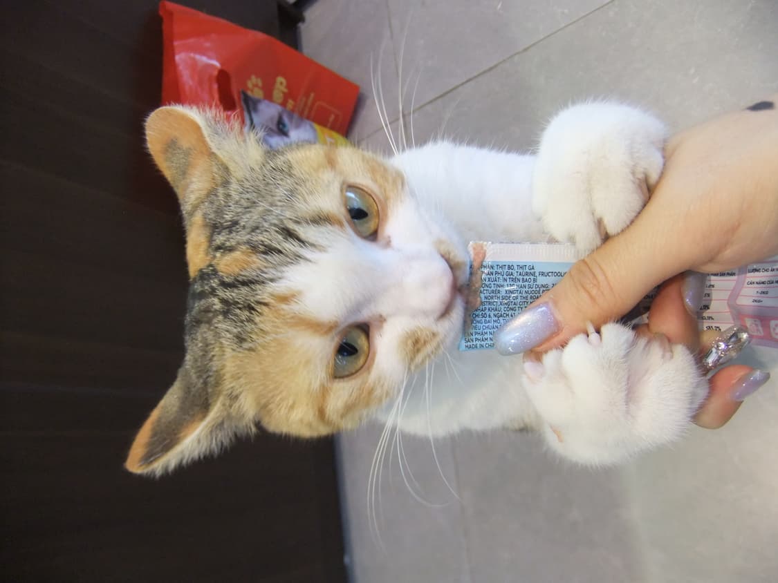 후지필름 f70exr(작례O/무료배송) 상품이미지9