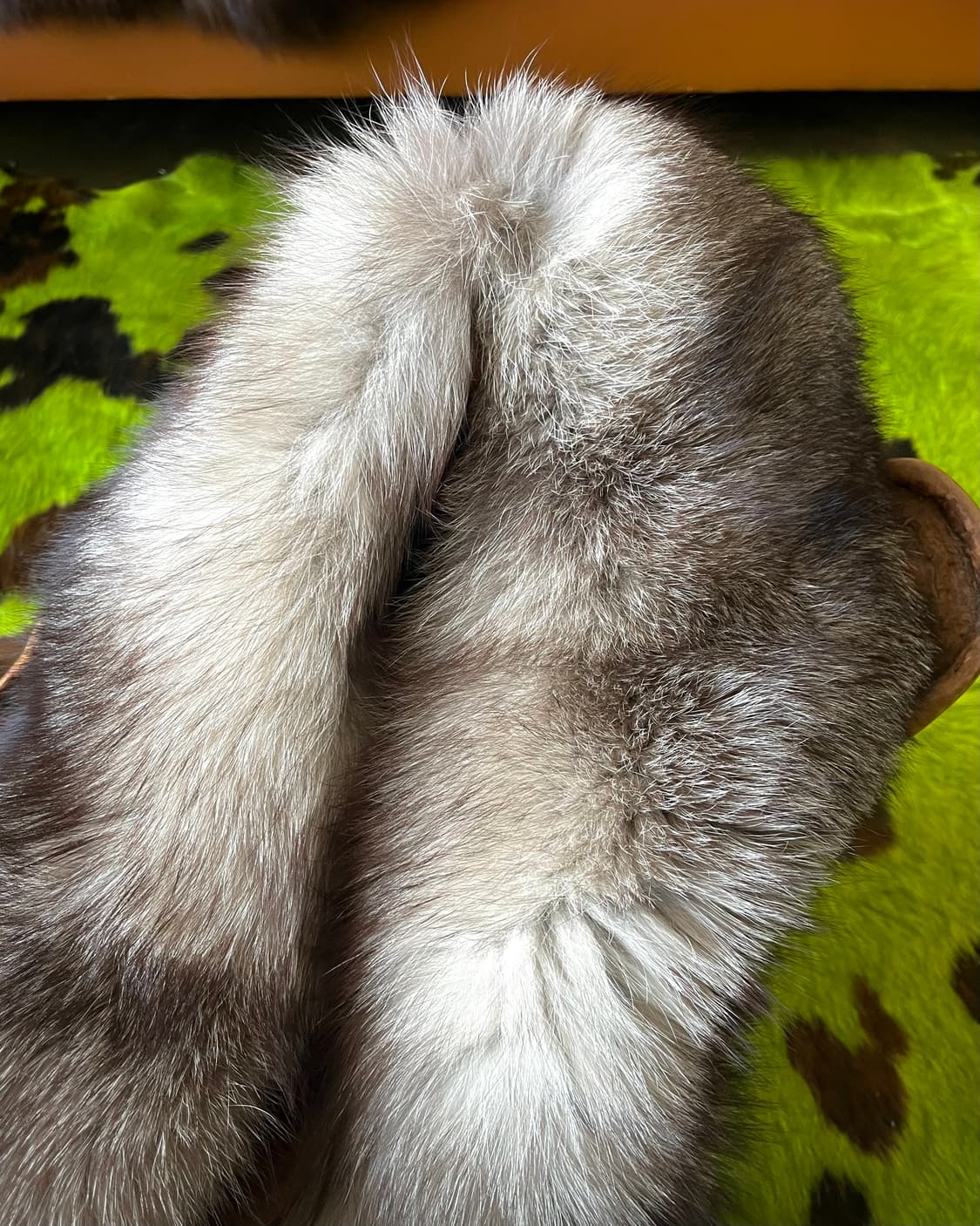 Old SAGA Fox Real Fur Muffler 상품이미지5