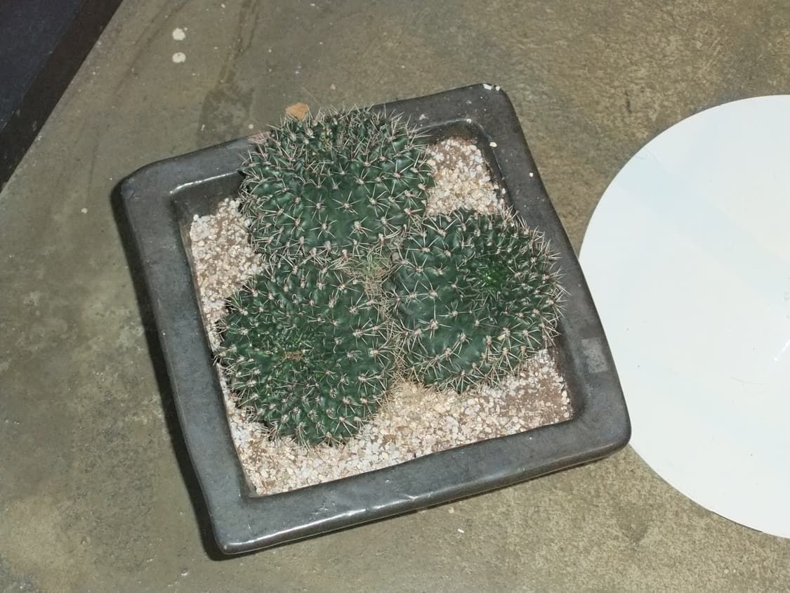 딸기우유)후지필름 파인픽스 f70exr 핑크 빈티지디카 상품이미지10