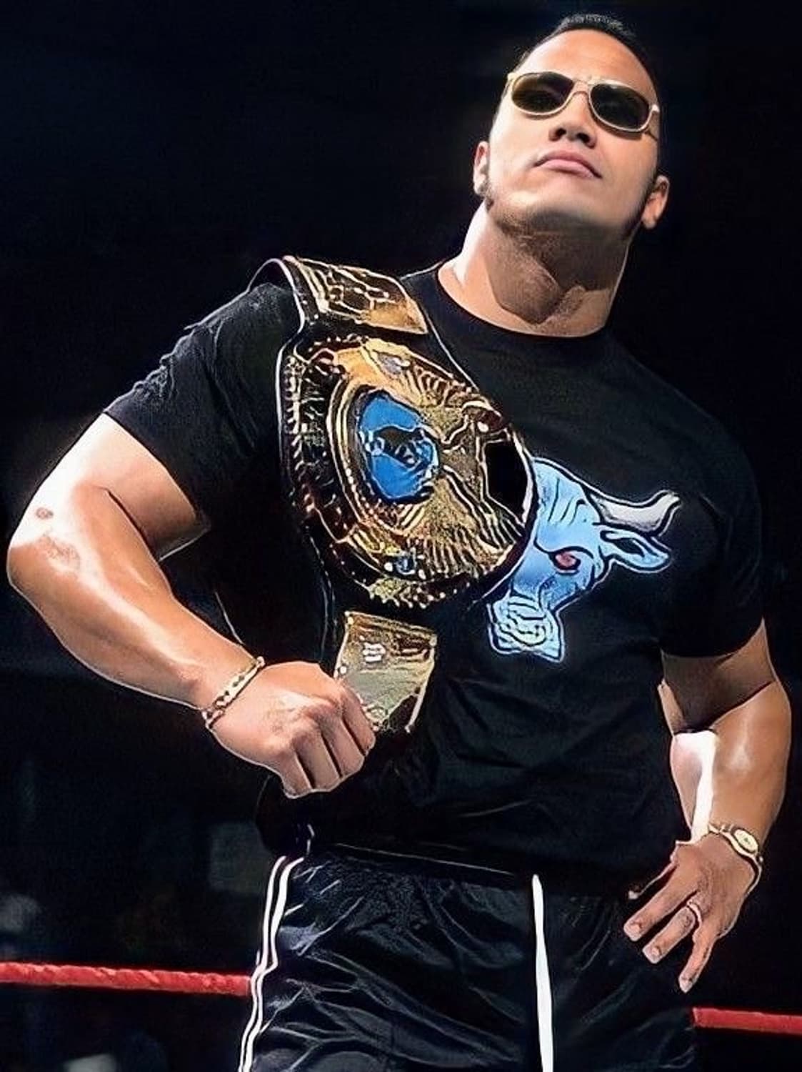 아메리칸 빈티지 WWE x GPK 프로레슬링 더락 반팔 L (97) 상품이미지9