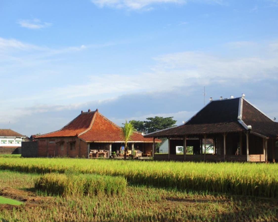 📸✨ 캐논 익서스 185 (IXUS 185) 감성 디카 판매합니다 ✨ 상품이미지10