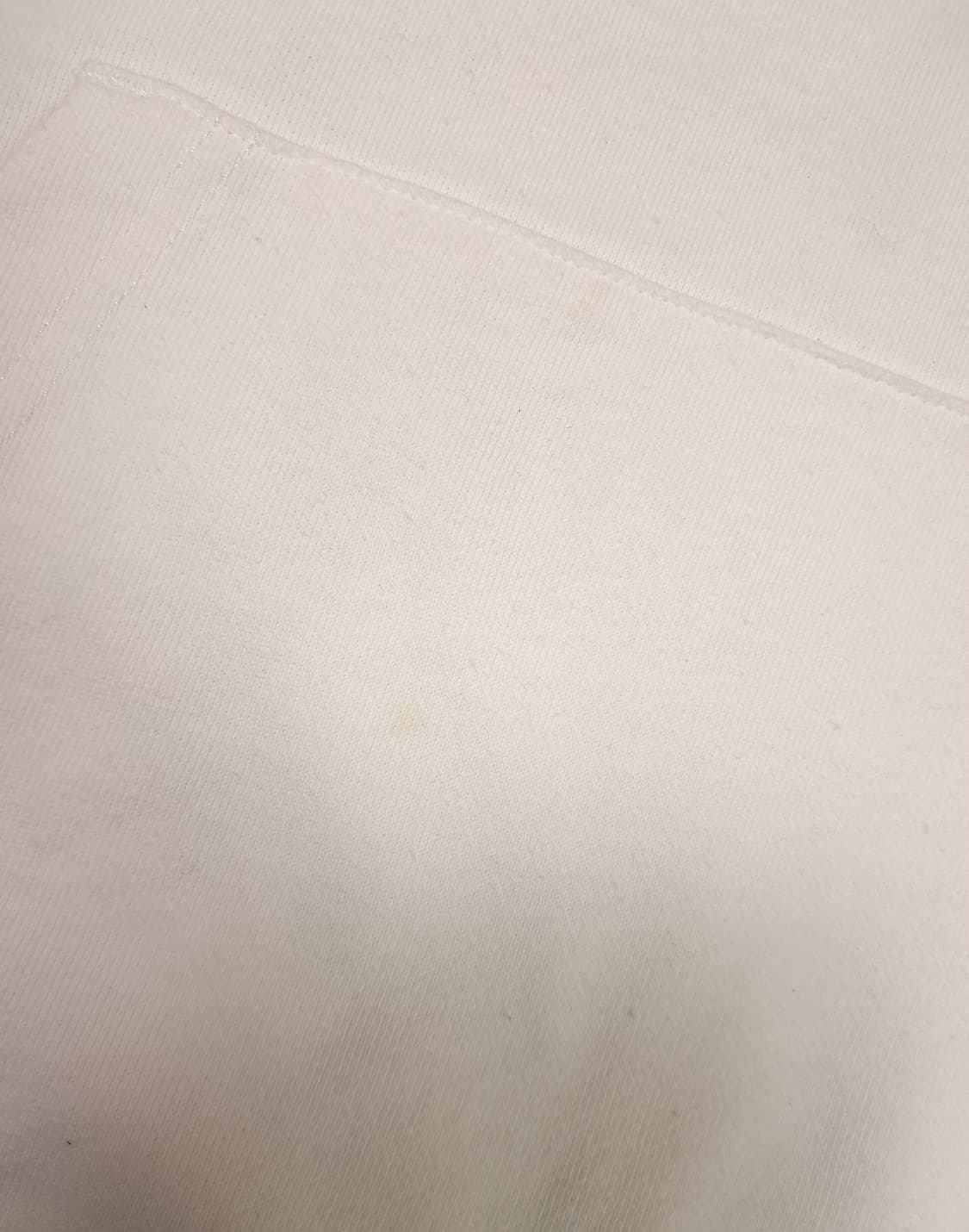 오리지날 일본판 빅로고 챔피온 후드 상품이미지4