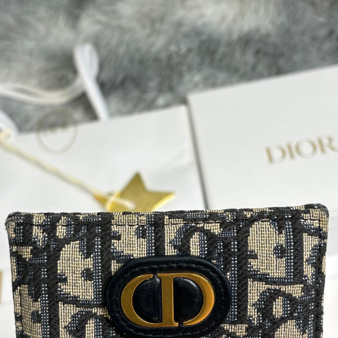 디올 오블리크 몽테인 30 카드지갑 상품이미지6