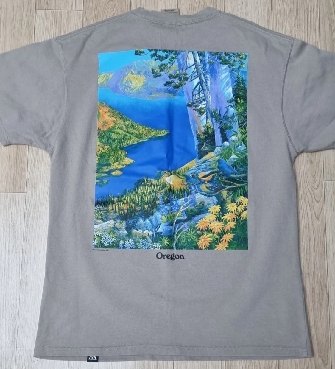 나이키 ACG 그래픽 티셔츠 100 상품이미지2