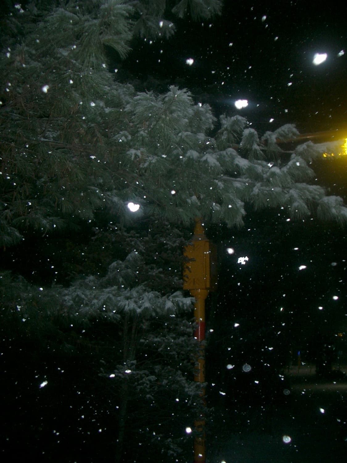 카시오 엑슬림 ex-z3 상품이미지2