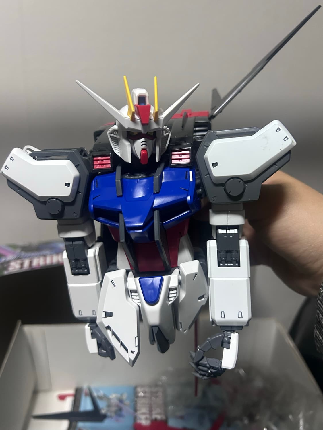 검담 일괄 상품이미지10