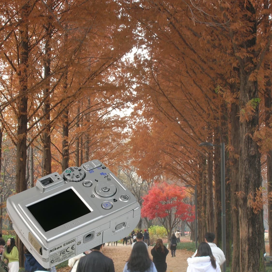 Coolpix 5600 (✨민트급/🎁풀패키지) 상품이미지7