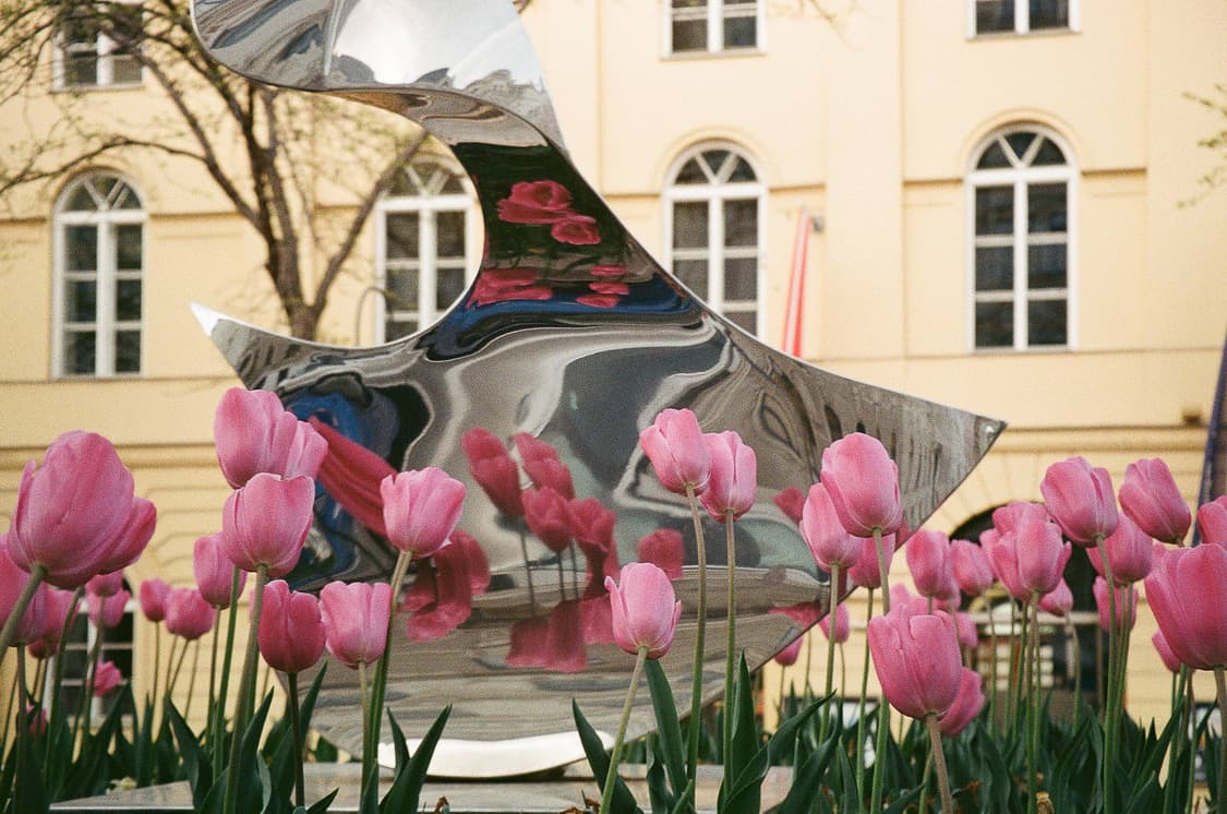 작례O 심해진 필카 삼성 케녹스 퍼지줌 1150 필름카메라 빈티지 상품이미지3