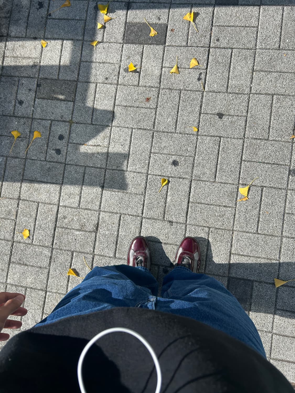 프라다 아메리카컵 유광레드 상품이미지2