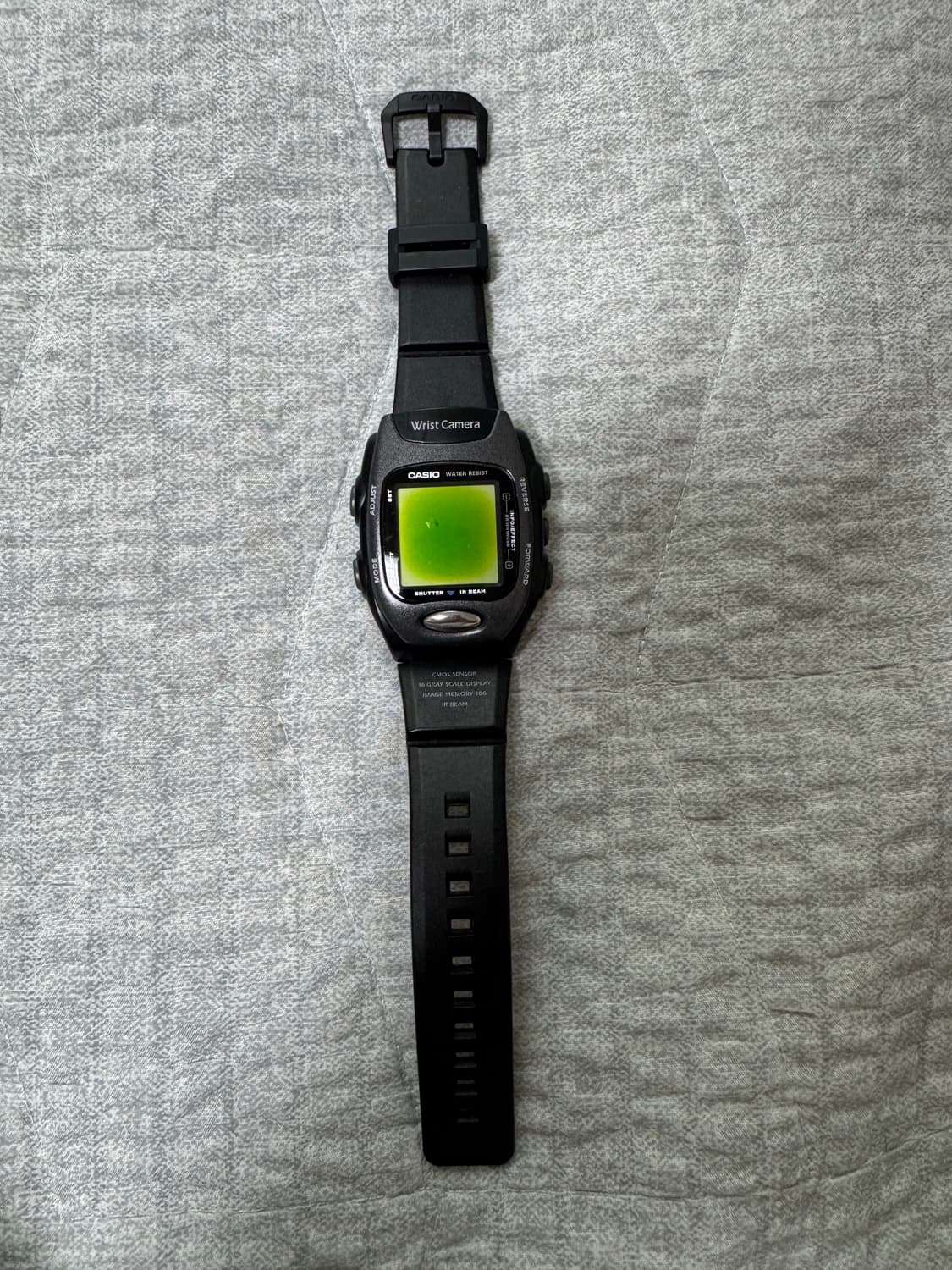 casio wqv-2 카시오 빈지노 시계 상품이미지2