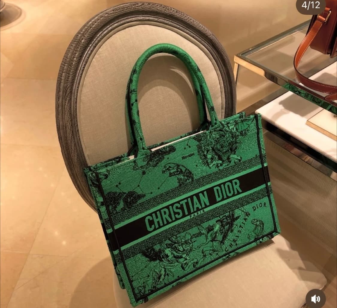 디올 북토트 상품이미지2