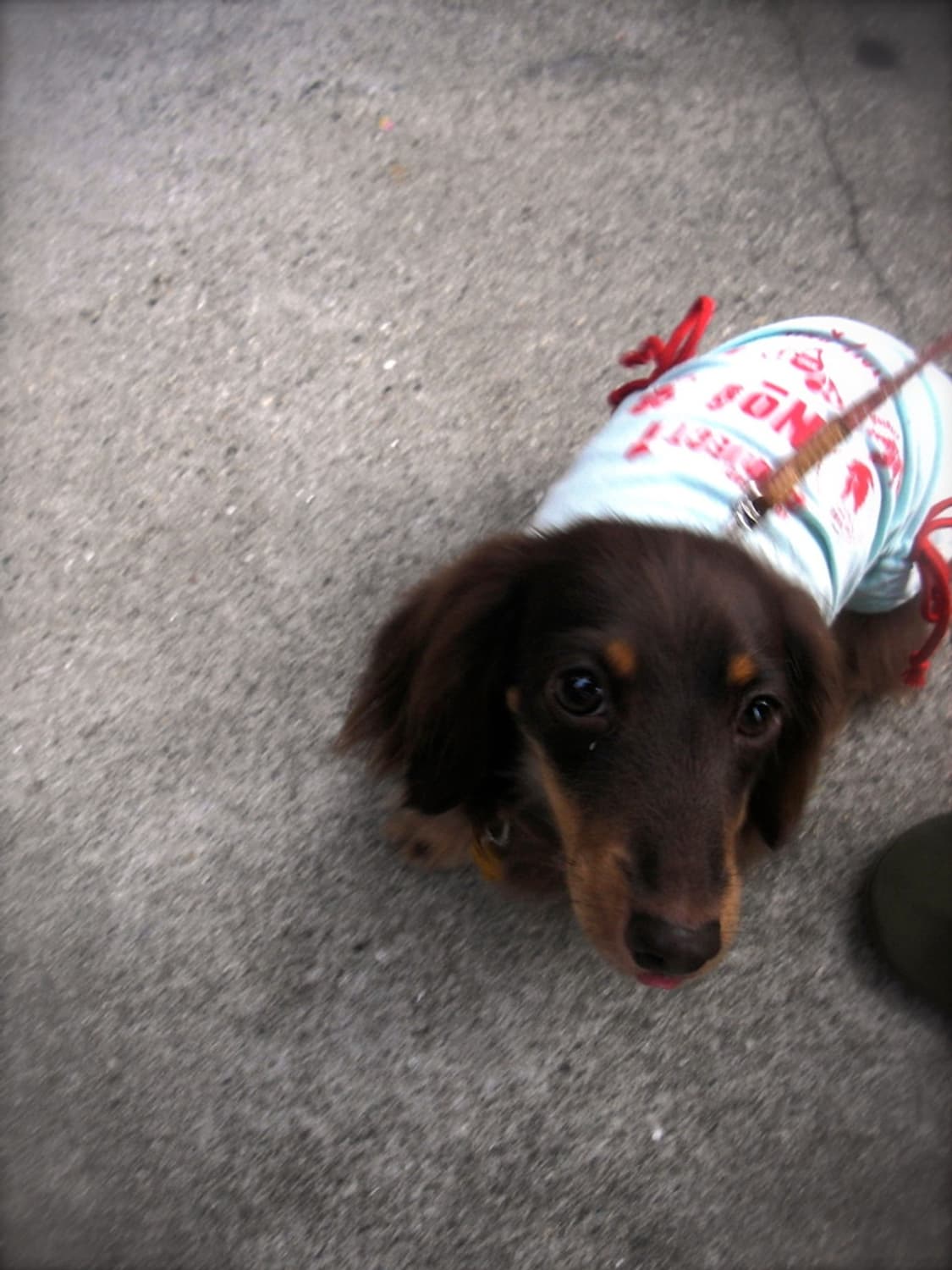 펜탁스 옵티오 Pentax Optio WP 실버 상품이미지3