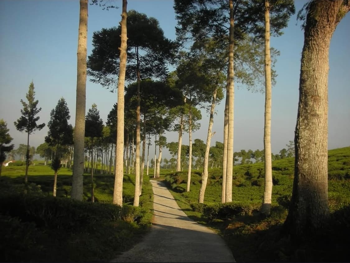 📸 니콘 쿨픽스 S8 실버  🤍 감성 미품 상품이미지10