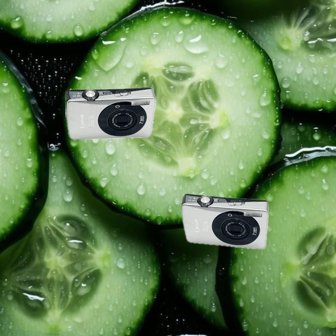 인플루언서&강추!) Canon IXUS 75 디카 카메라 상품이미지1