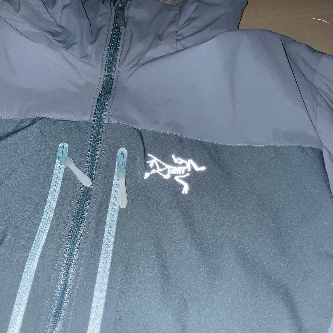 아크테릭스 프로톤FL 후디 프로테우스 L/G 상품이미지4