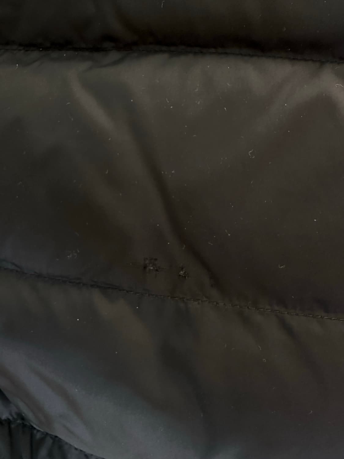 반스 경량패딩 상품이미지4