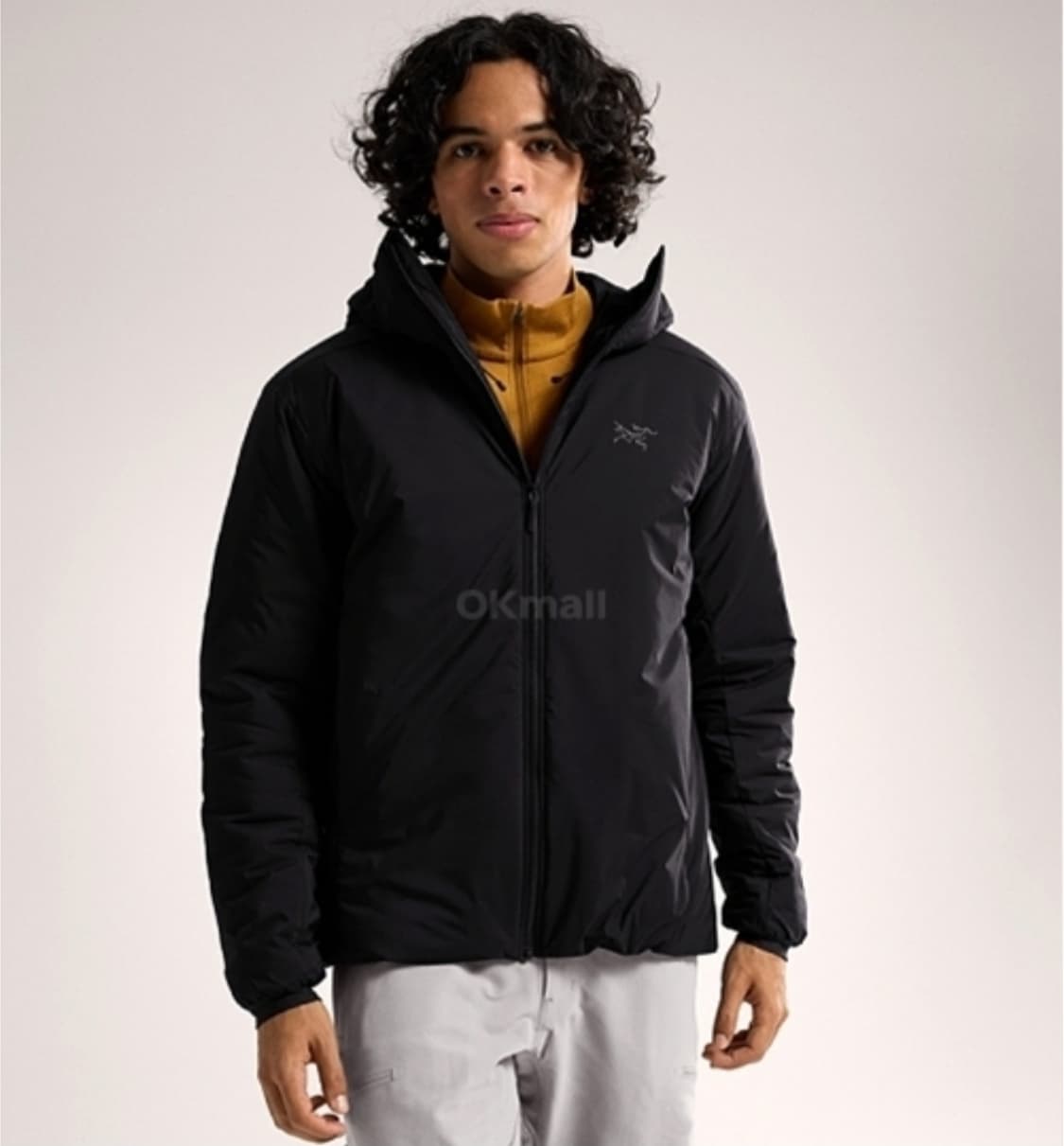 아크테릭스 아톰 헤비웨이트 상품이미지1