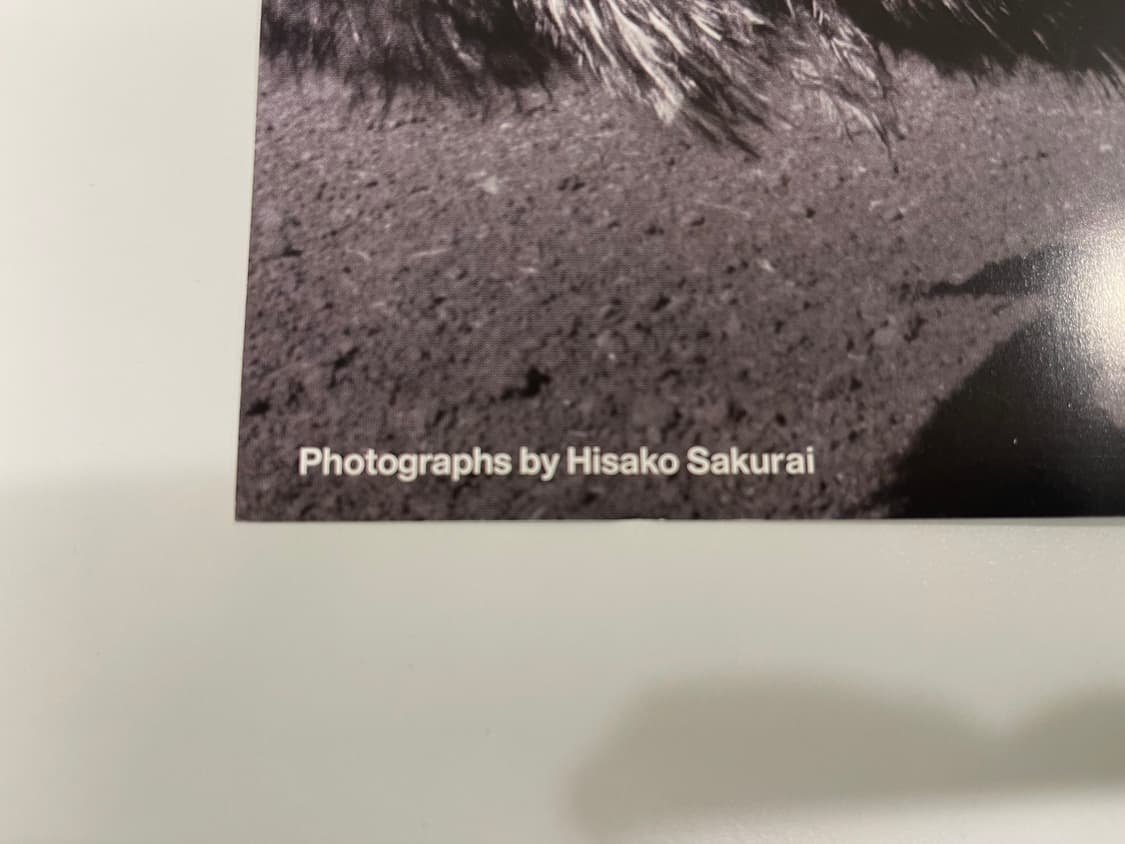 꼼데가르송 COMME des GARCONS 5 아트 포토 AD2015 상품이미지4