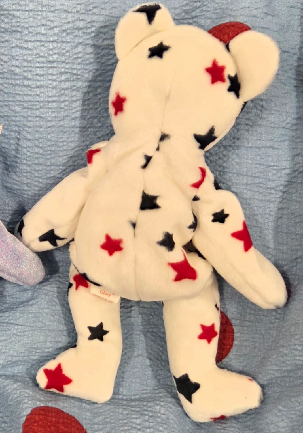 ty bear 티와이베어 Glory the Bear 상품이미지2