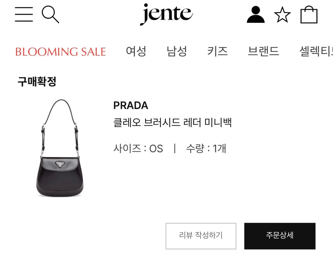 프라다 클레오 브러시드 레더 미니백 상품이미지2