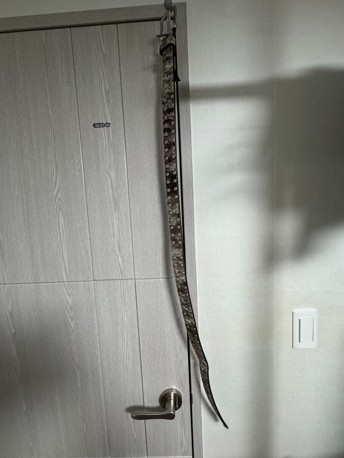 스투시 8볼 스터드 벨트 로우 카우하이드 헤어 xl 상품이미지3