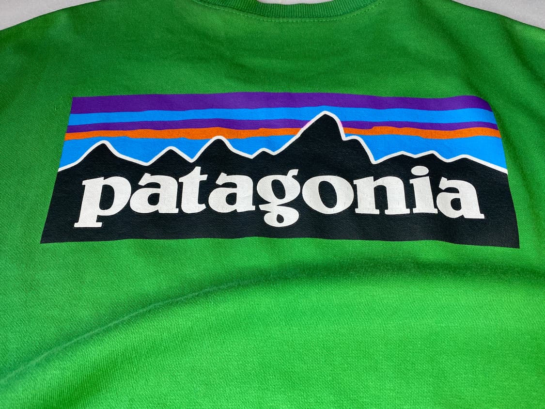 Patagonia 반팔티 F 상품이미지5