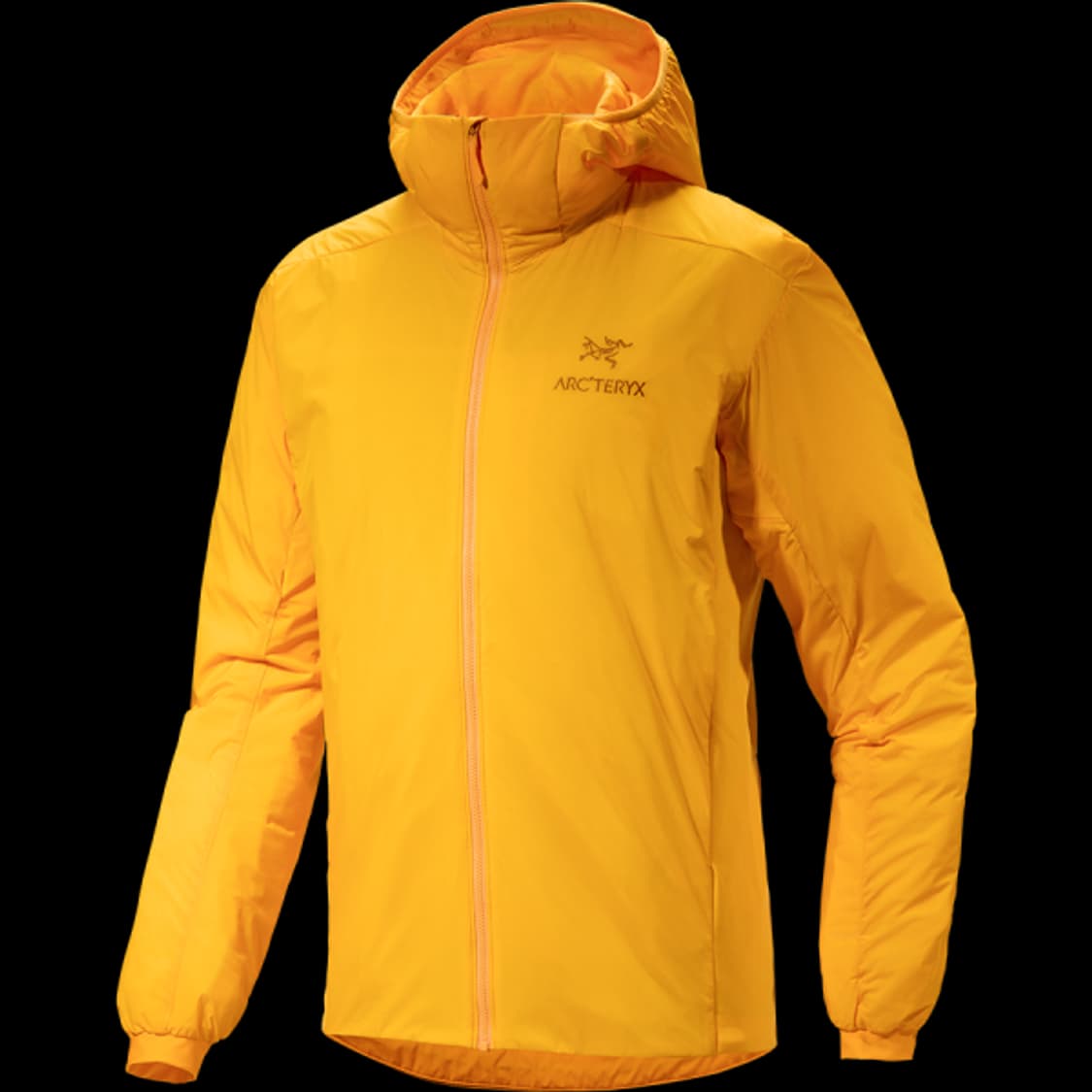 Arc'teryx Atom Hoody(LT)Jacket(아크테릭스 재킷) 상품이미지1