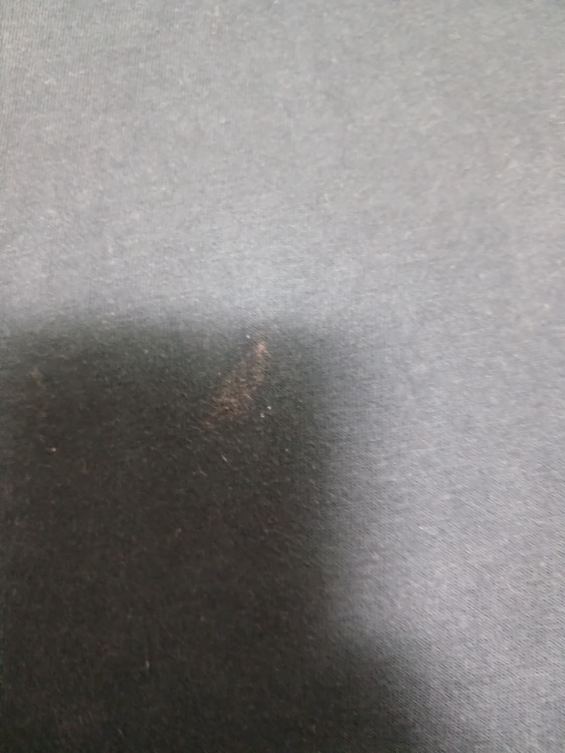 홀리스터 네이비 롱슬리브  상품이미지3