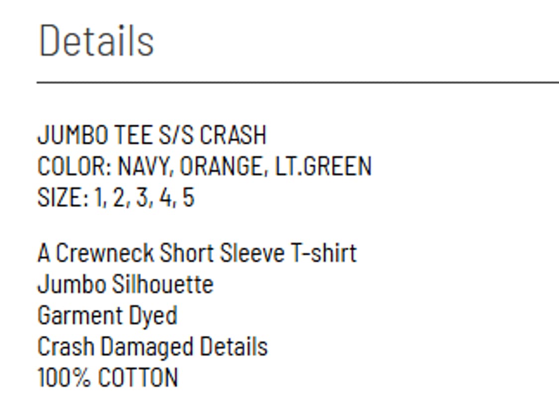 3) 비즈빔 visvim 24aw 점보 티셔츠 크래쉬 상품이미지9