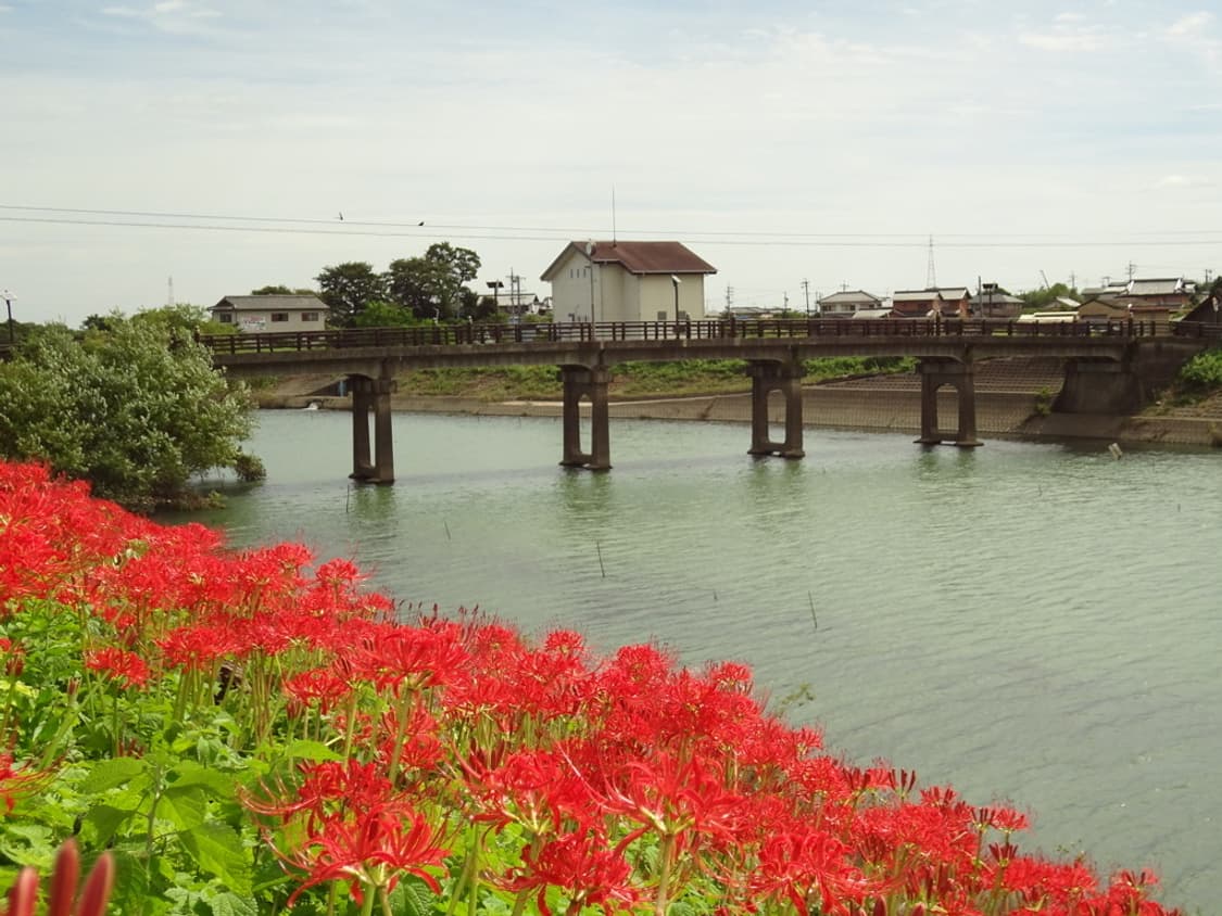 (색감/감성) 소니 SONY DSC-WX7 디카 디지털카메라 상품이미지6