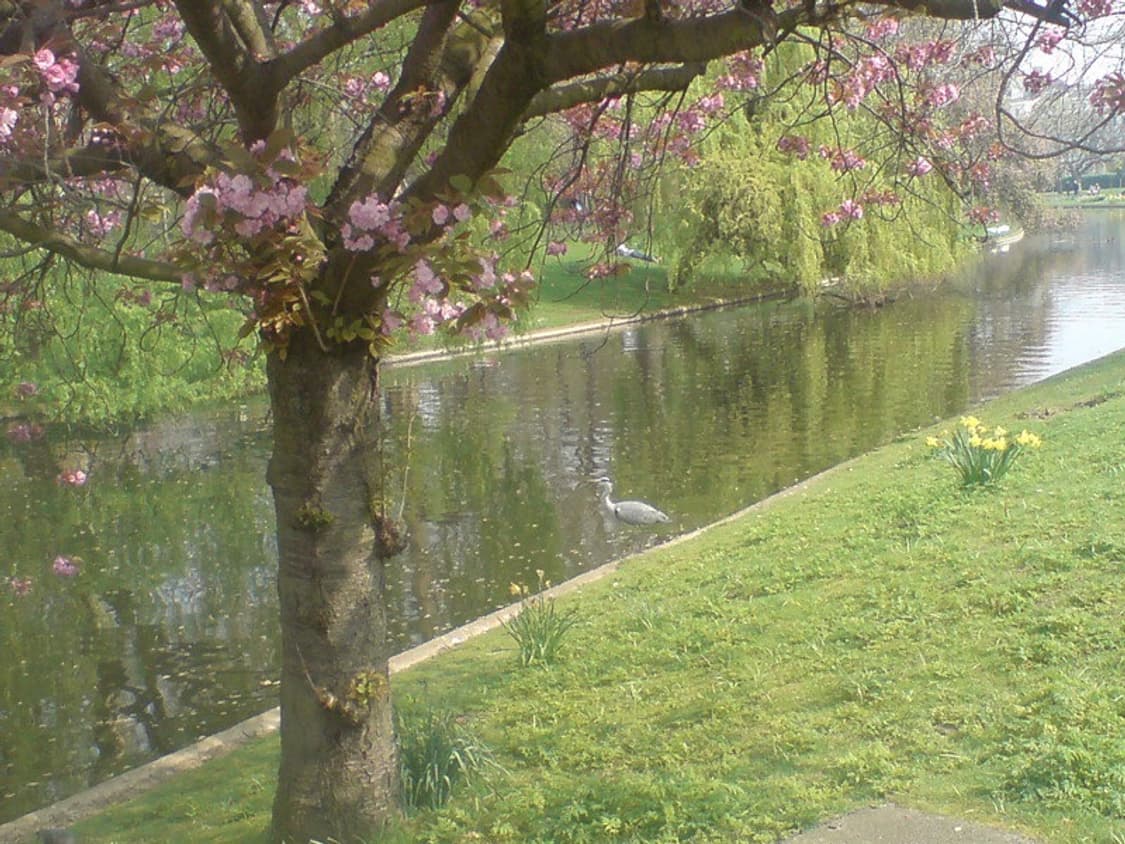 개인결제창 상품이미지1