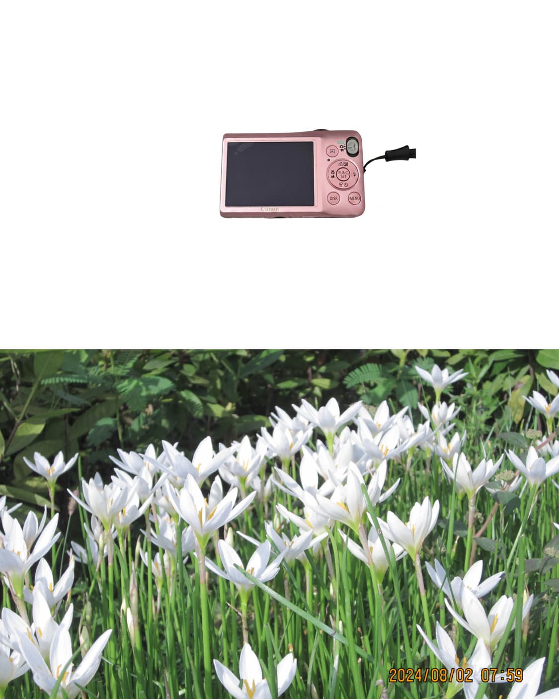 Canon IXUS 105 상품이미지2