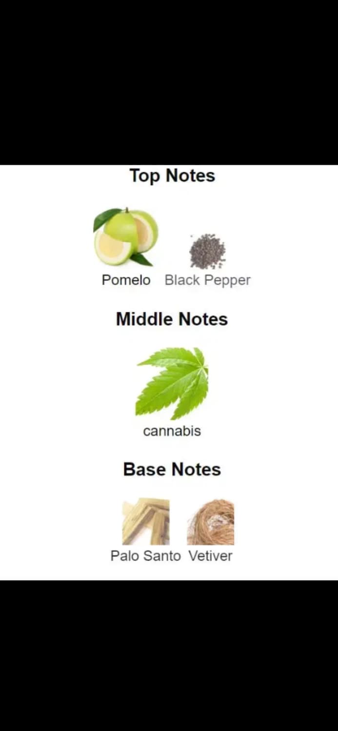 바이레도 오픈스카이 오드퍼퓸 100ml 상품이미지5