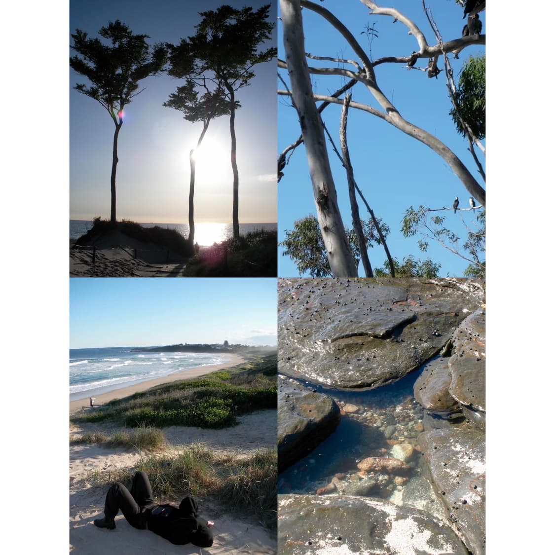 작례🫧𖠳ᐝRICOH 리코 R50 상품이미지8