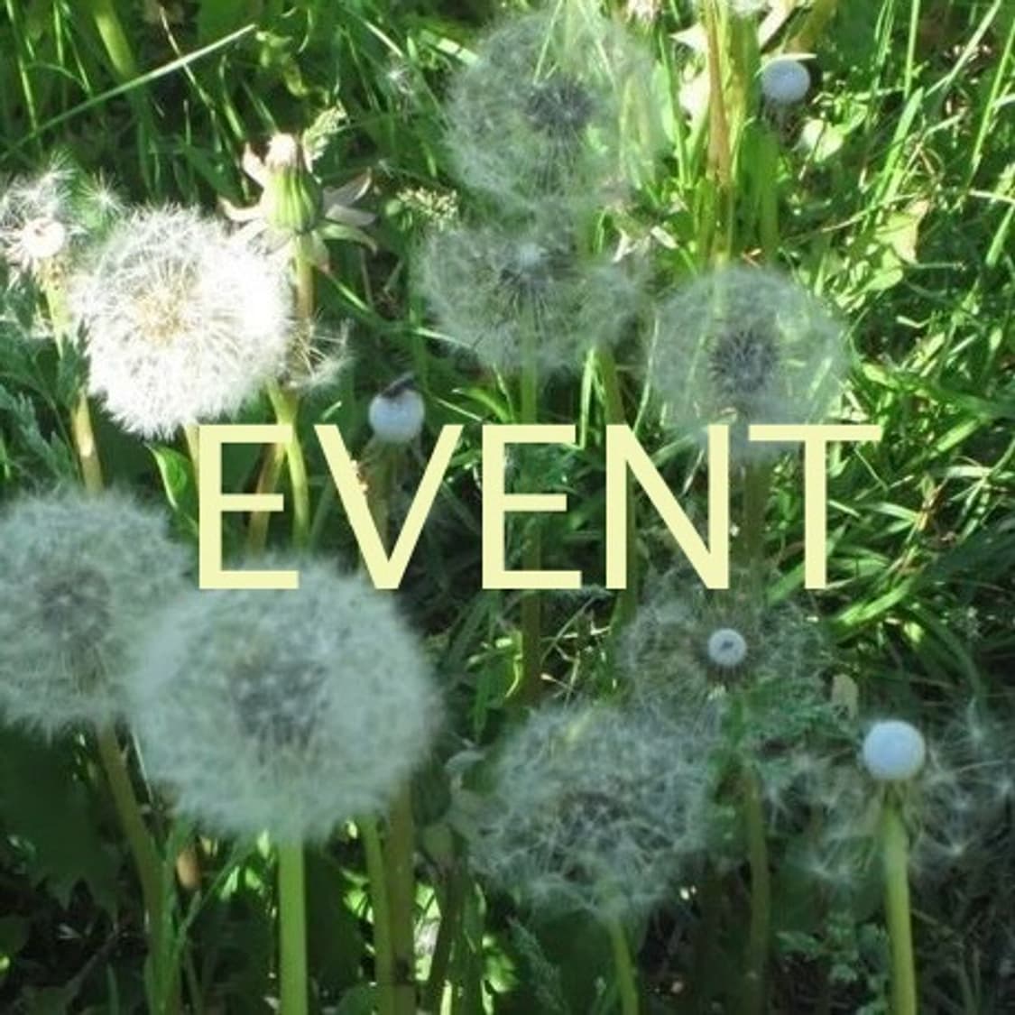 <50 followers event> 7/22~7/28 상품이미지1