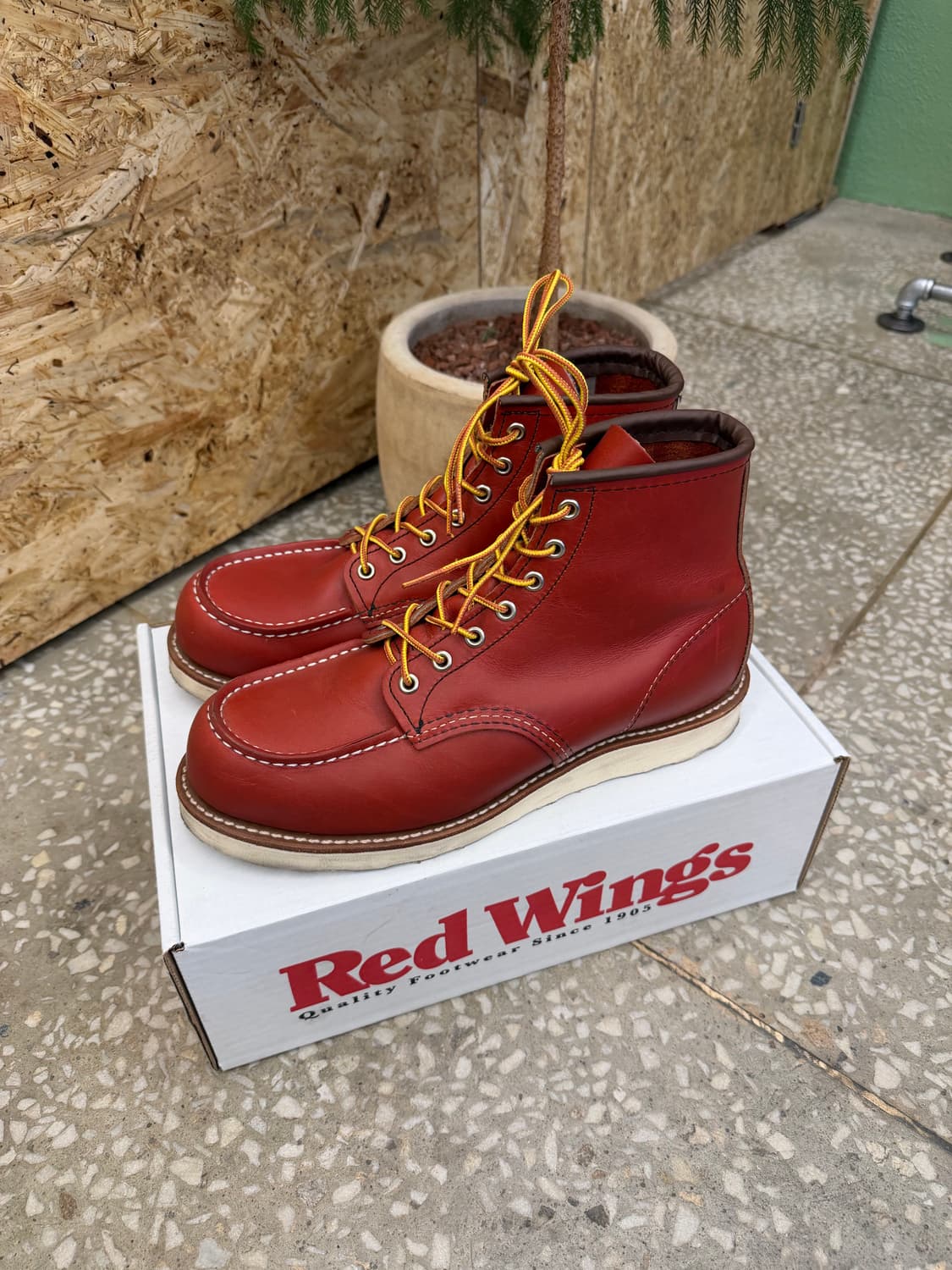 레드윙 아이리쉬 세터 8875 9E 상품이미지1