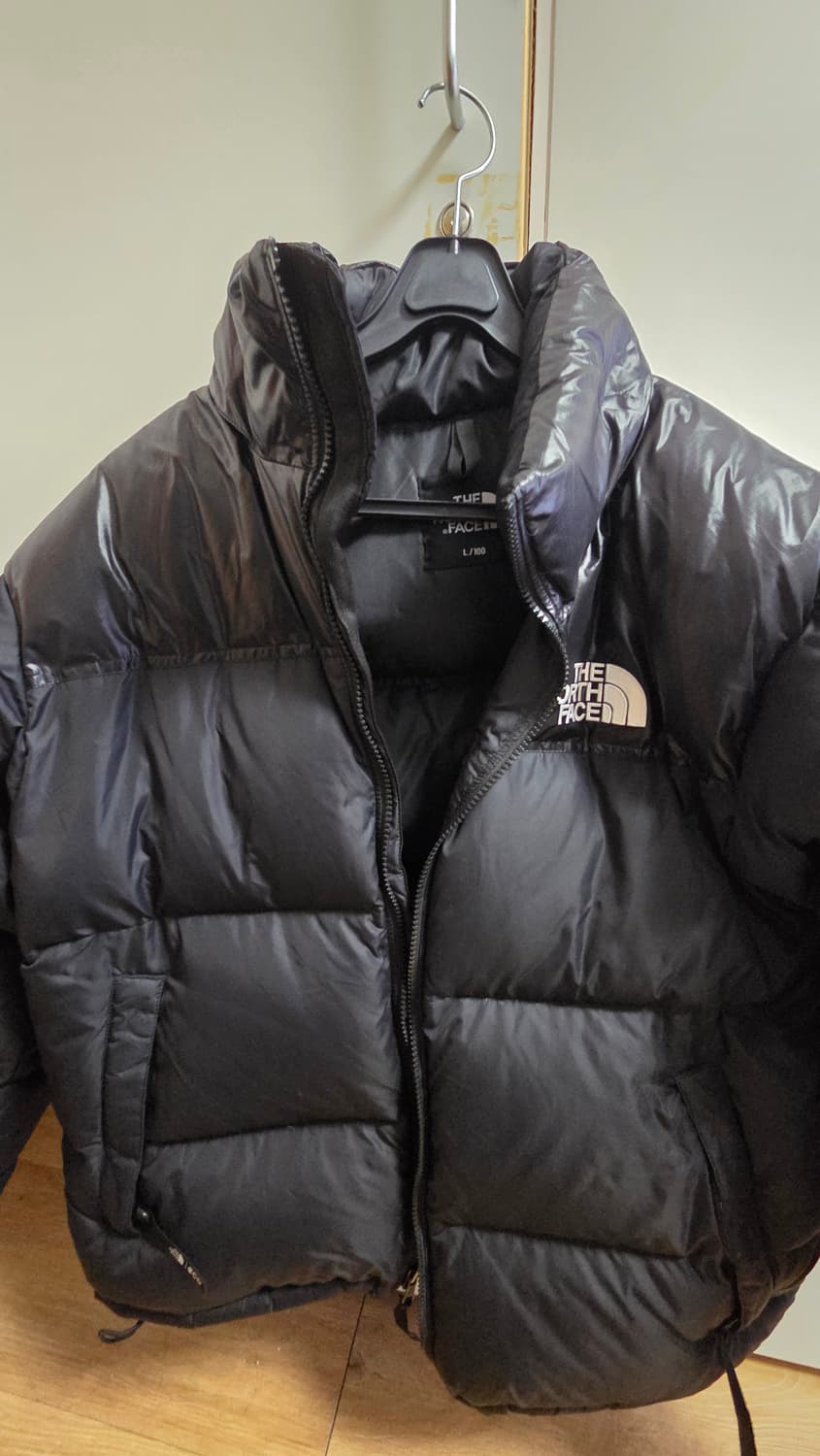 노스페이스 NJ1DP74A 남성 1996 블루 눕시 자켓 BLACK 상품이미지3