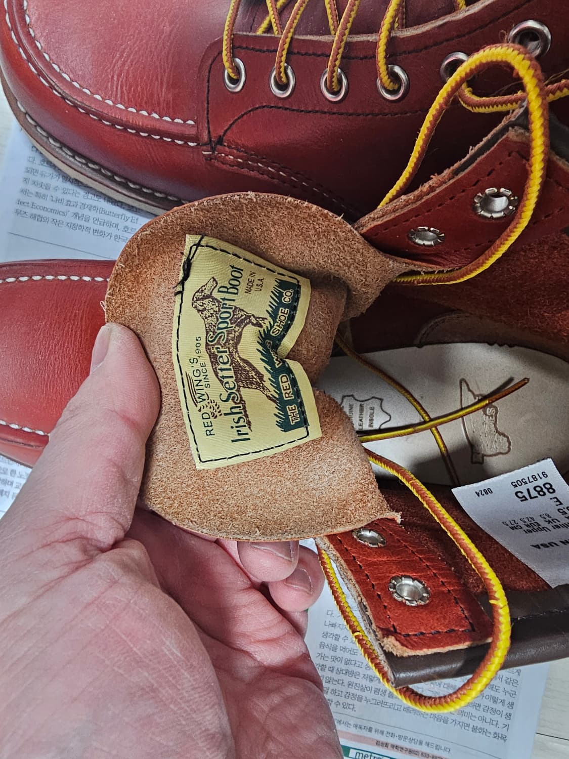 레드윙8875 오로러셋 9.5E 상품이미지7