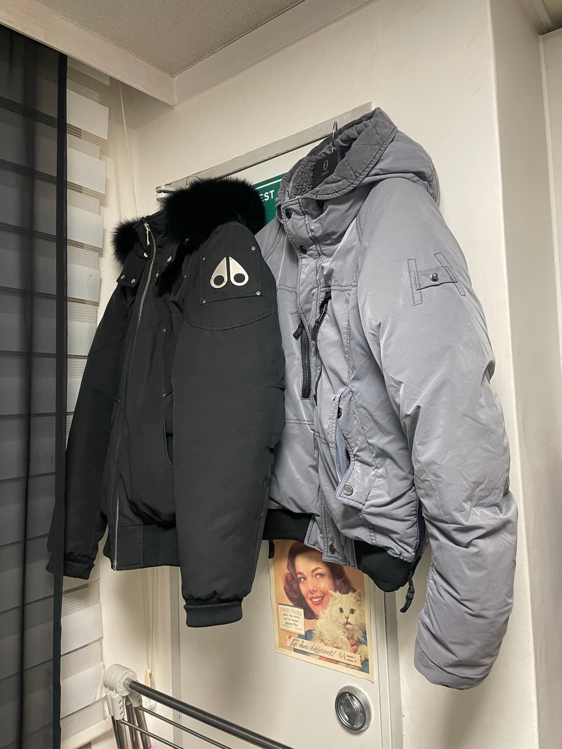 시리즈 숏패딩 (M) 상품이미지6