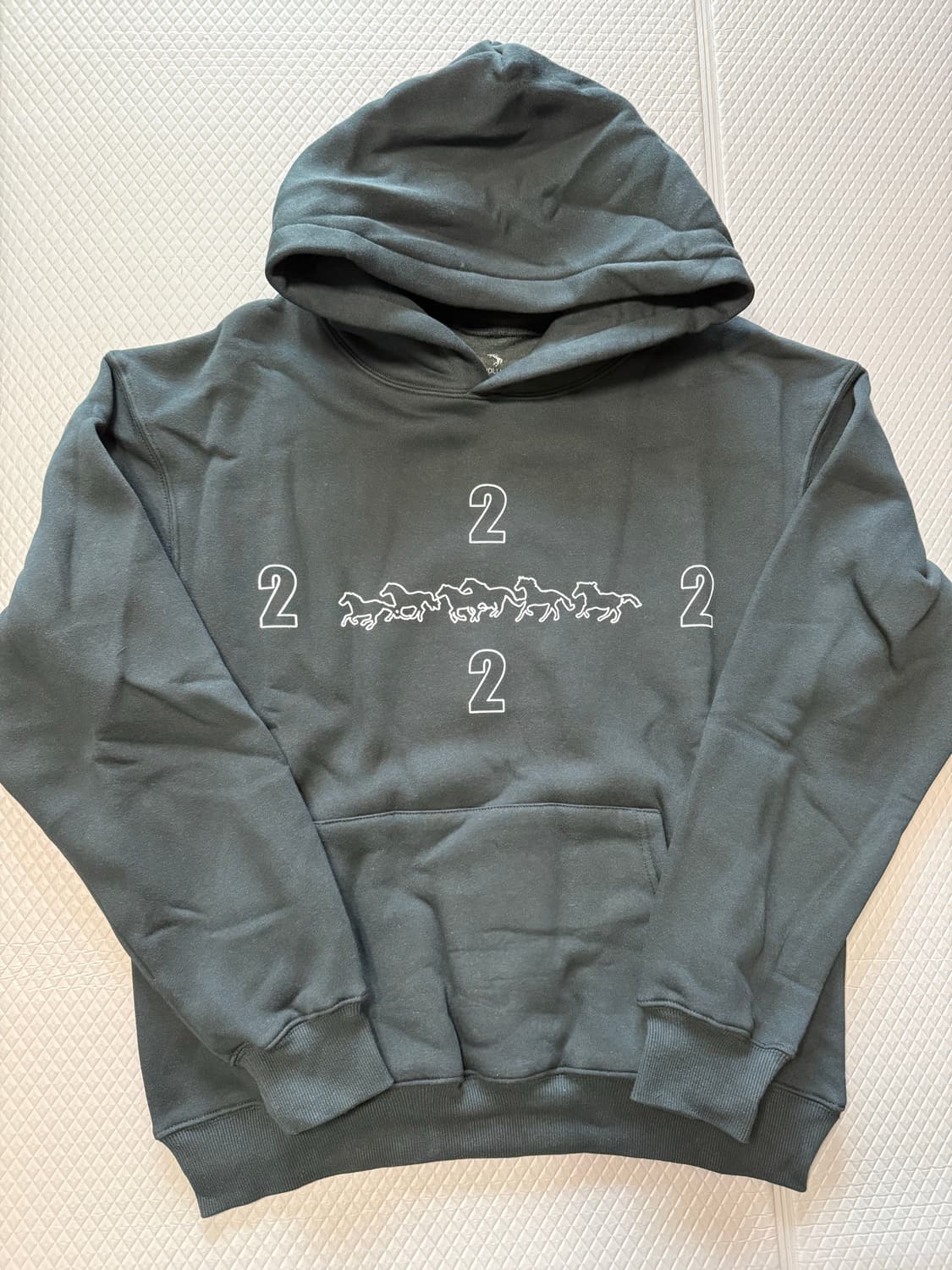 (M) 2hollis 북미 투어 후드  상품이미지1
