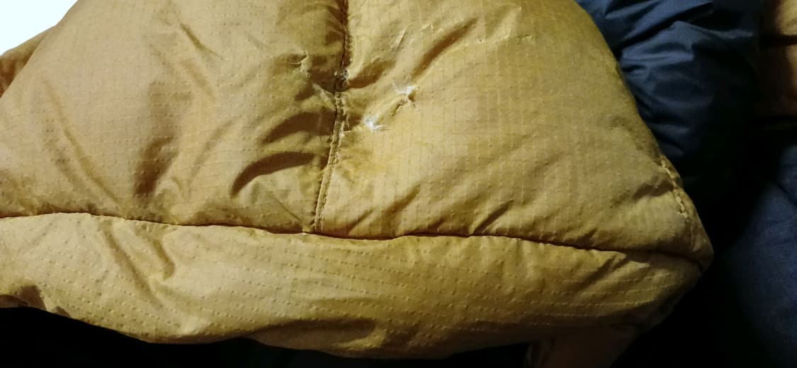 네파 구스 다운 패딩 800필 상품이미지10