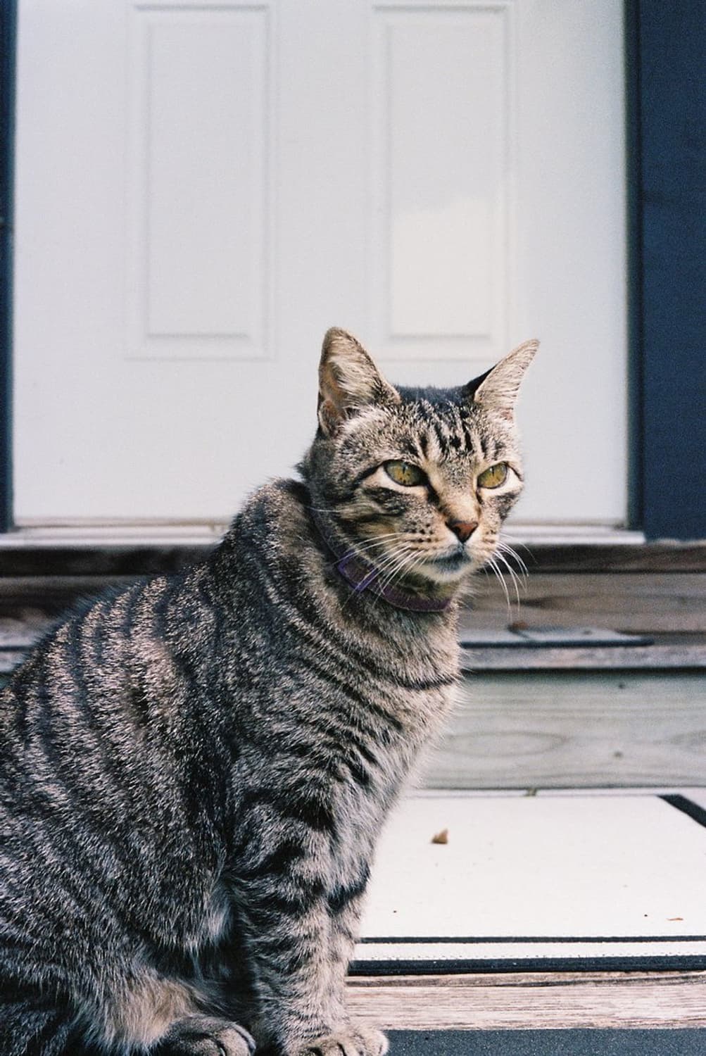 작례 스냅용 최강 니콘 AF 줌 터치 470 쿼츠 데이트 필름카메라 빈티 상품이미지2