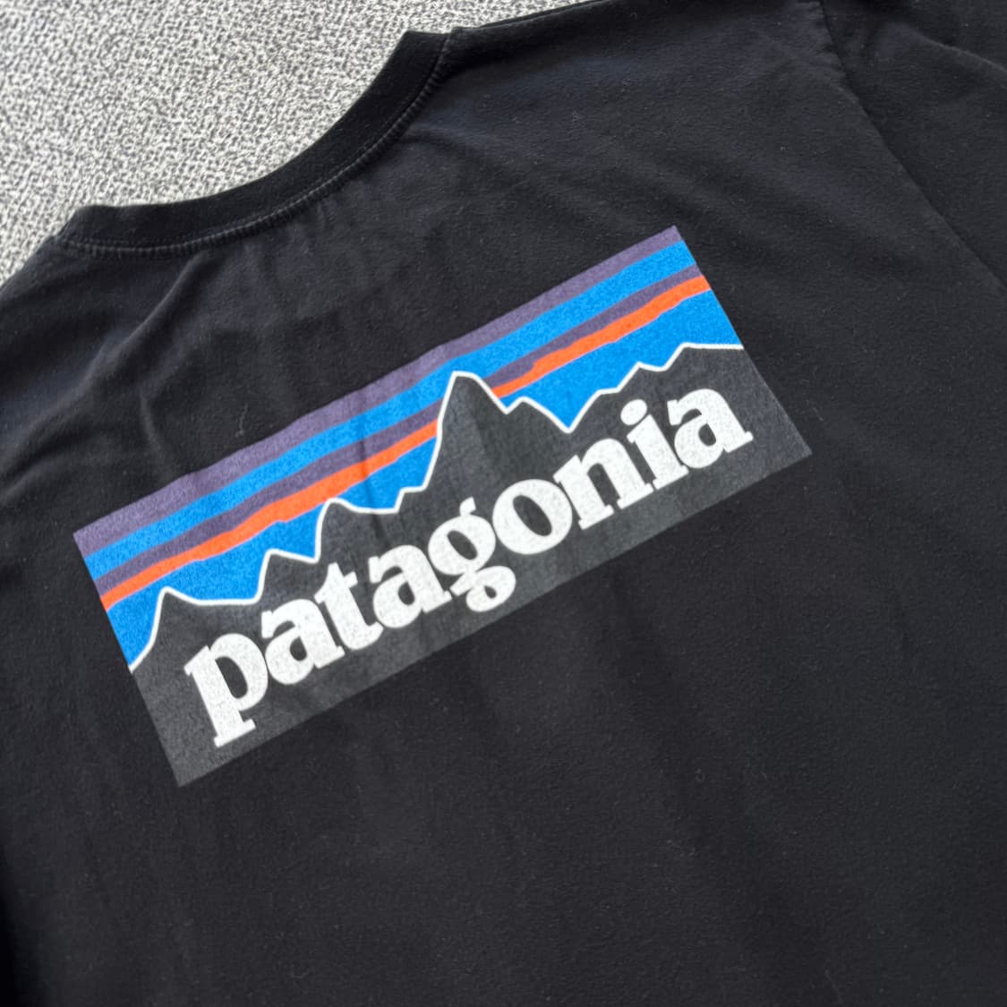파타고니아 반팔 상품이미지3