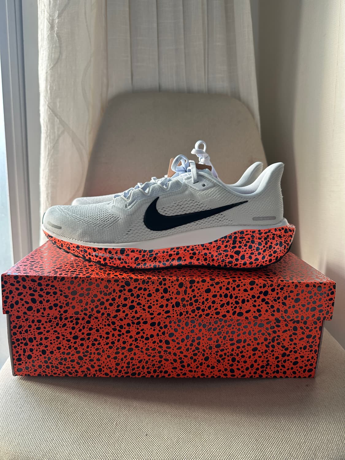 Air Zoom Pegasus 41 상품이미지1